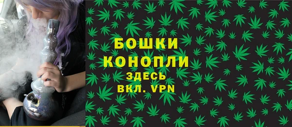 МДПВ Новозыбков