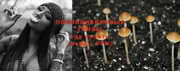 МДПВ Новозыбков