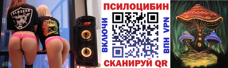 купить наркоту  Козельск  Псилоцибиновые грибы мицелий 